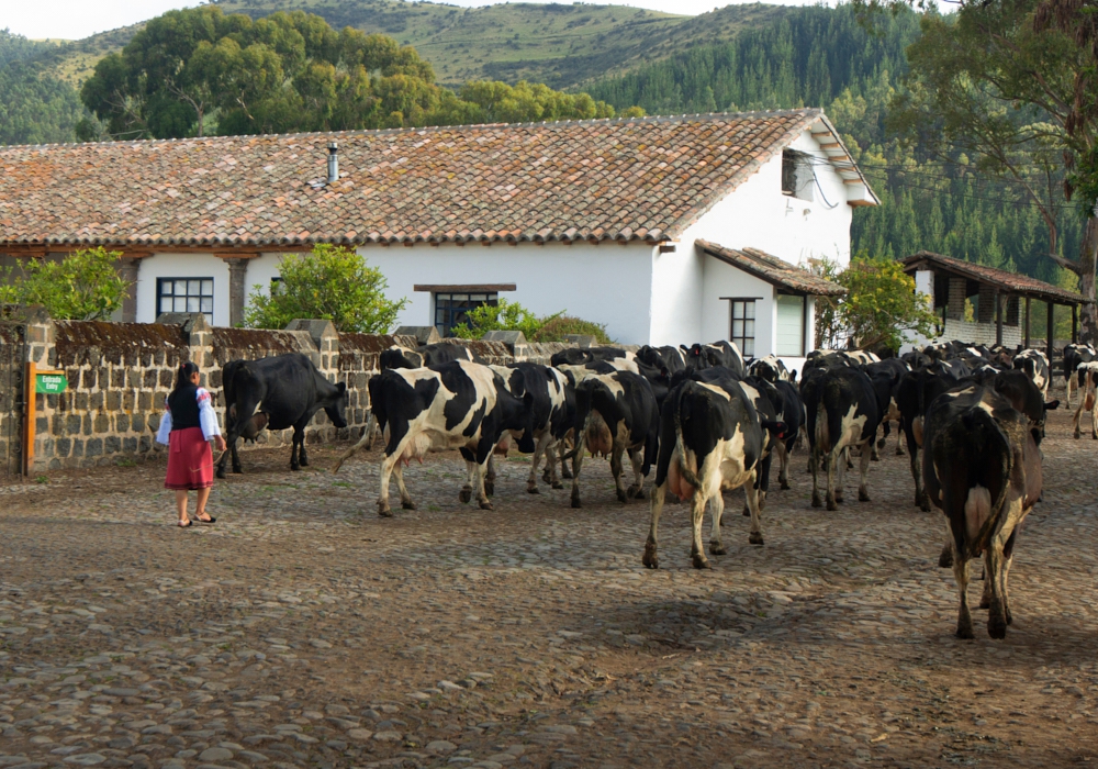 Day 03 - Zuleta Hacienda