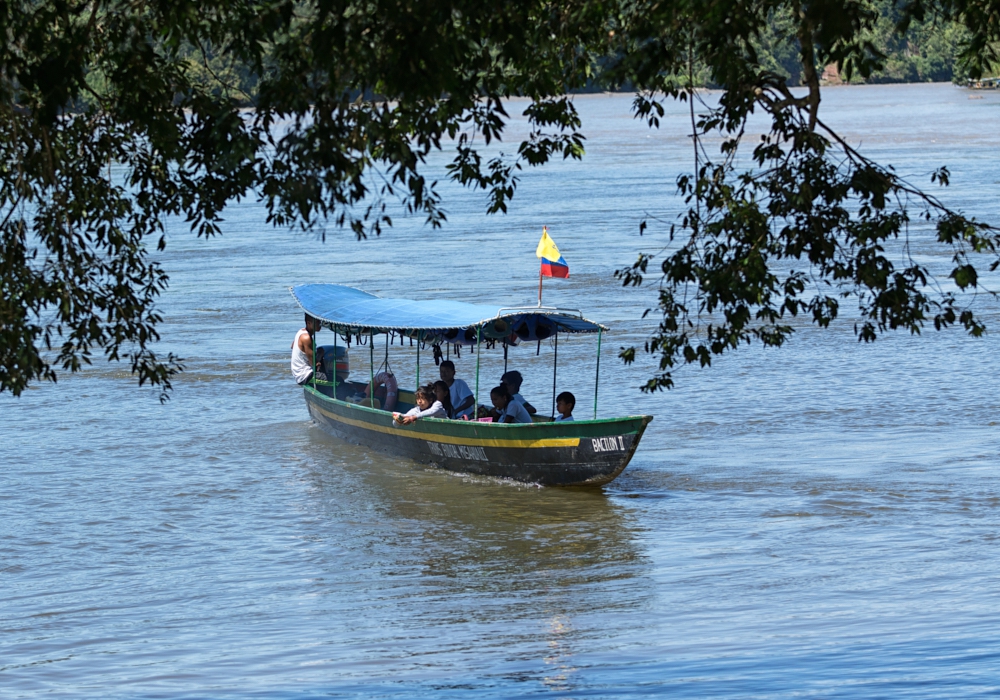 Day 04 - Amazon Homestay