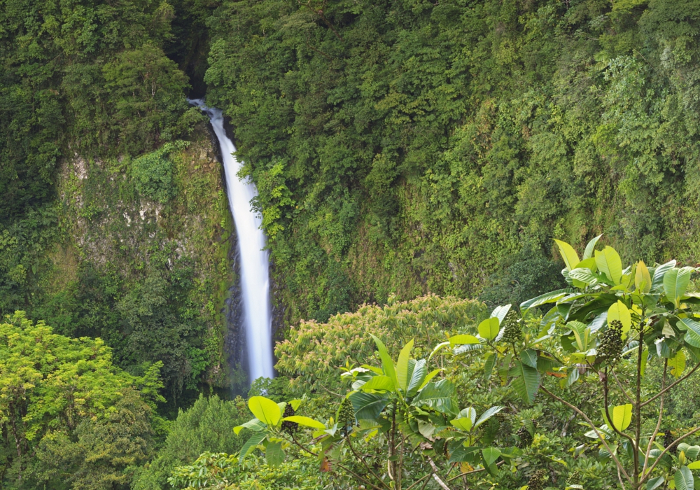 Day 04 - Arenal National Park