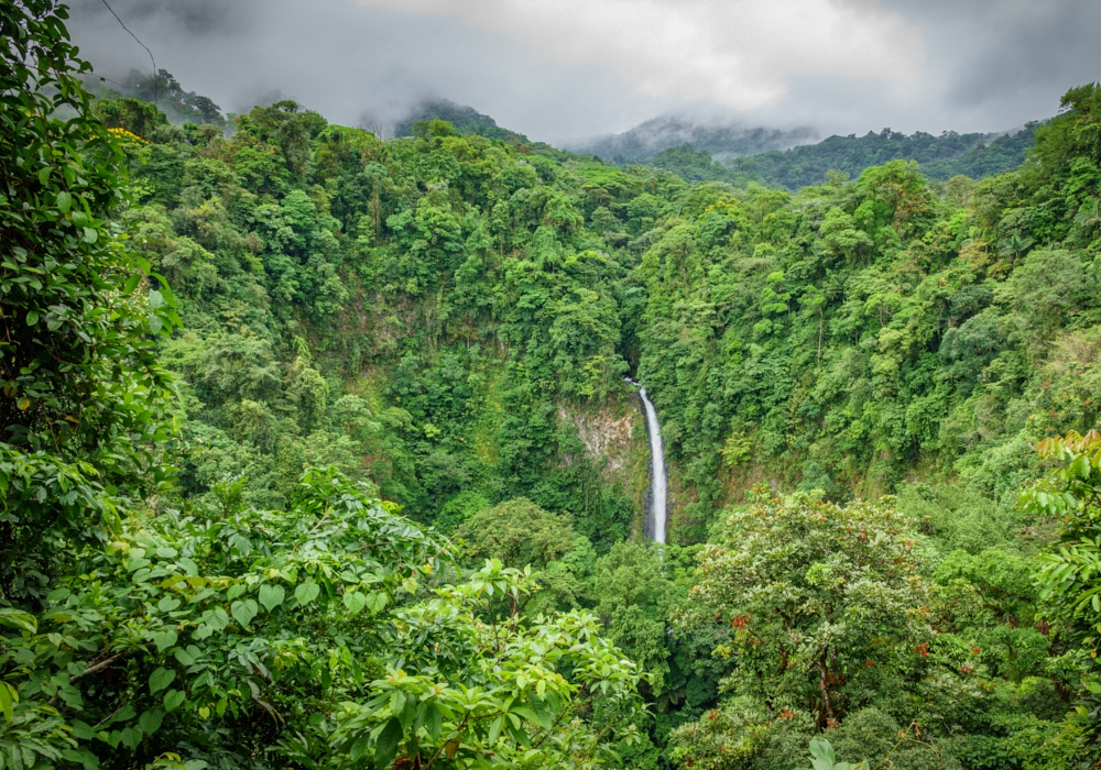 Day 04 - Arenal National Park