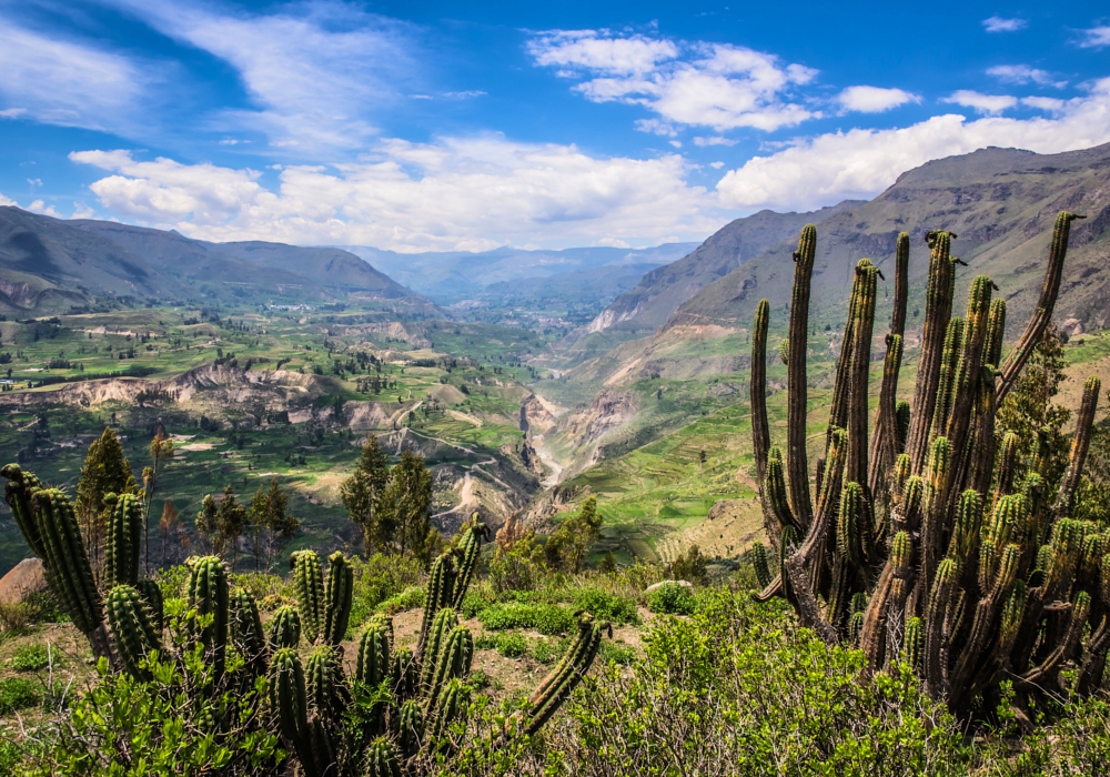 Day 04 - Arequipa - Colca Canyon