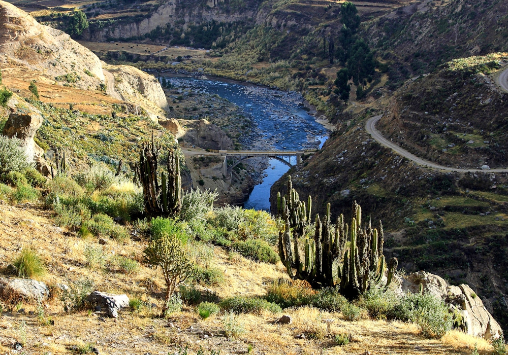 Day 04 - Arequipa - Colca Canyon