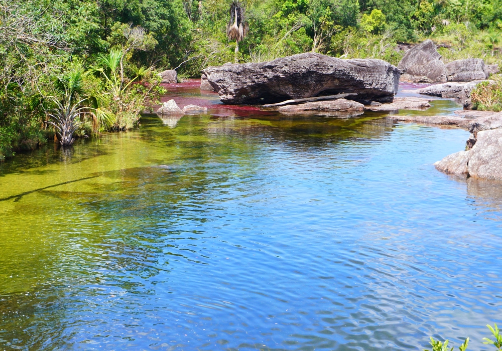 DAY 04 -  Caño Cristales -  La Macarena Town -  Bogotá