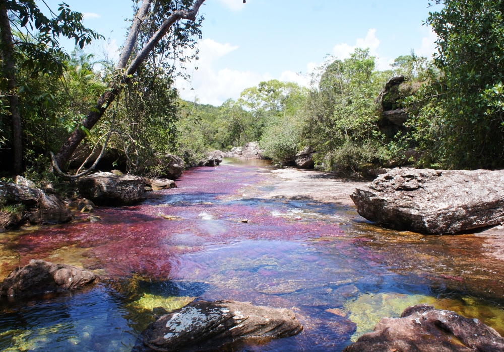 DAY 04 -  Caño Cristales -  La Macarena Town -  Bogotá