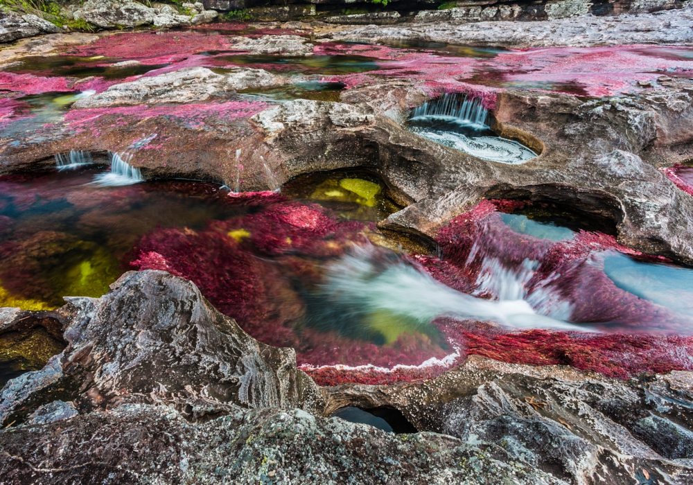 DAY 04 -  Caño Cristales -  La Macarena Town -  Bogotá