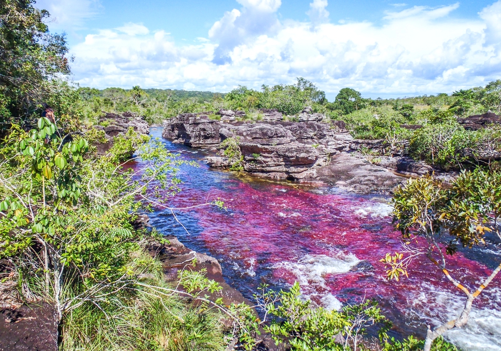 DAY 04 -  Caño Cristales -  La Macarena Town -  Bogotá