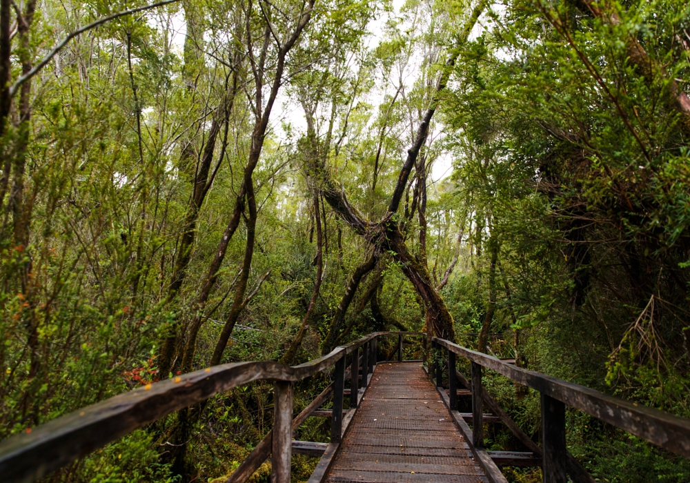 Day 04 - Castro - Chiloé National Park - Castro