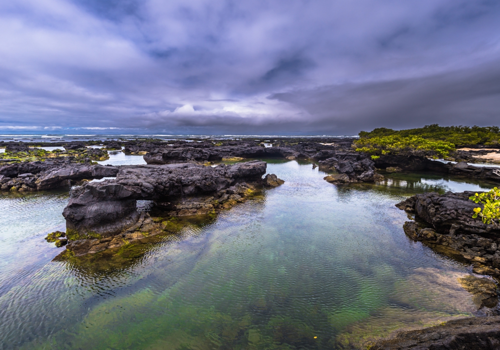 Day 04 - Isabela Island