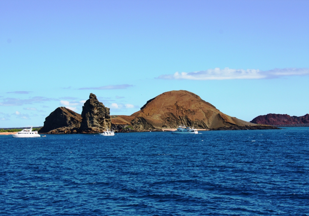 Day 04 - Isabela Island - Flamingo Lagoon - Tintoreras Islet