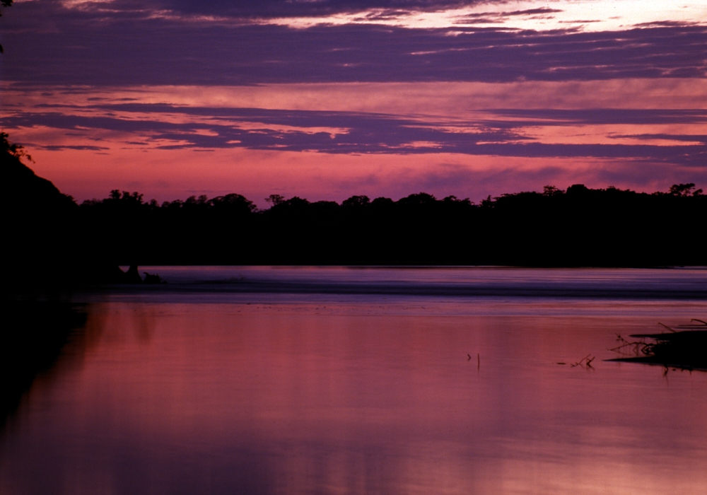 Day 04 - Lake Sandoval, Canopy Walk and Anaconda Walk