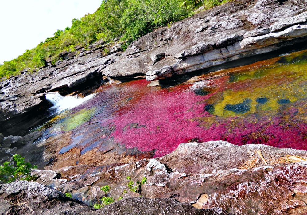 DAY 04 - Macarena – Caño Cristales