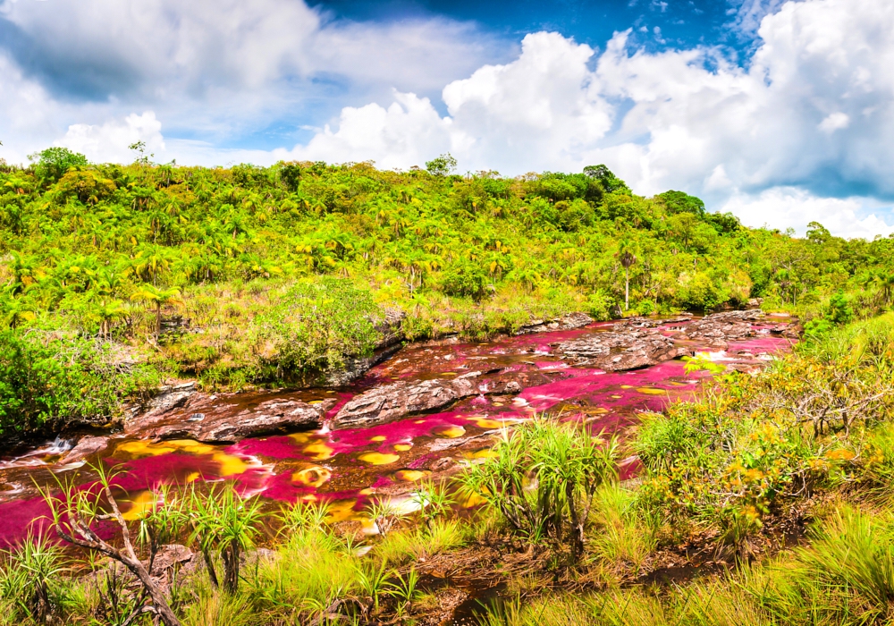 DAY 04 - Macarena – Caño Cristales