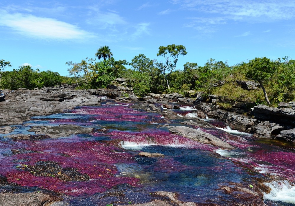 DAY 04 - Macarena – Caño Cristales