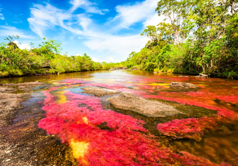 DAY 04 - Macarena – Caño Cristales