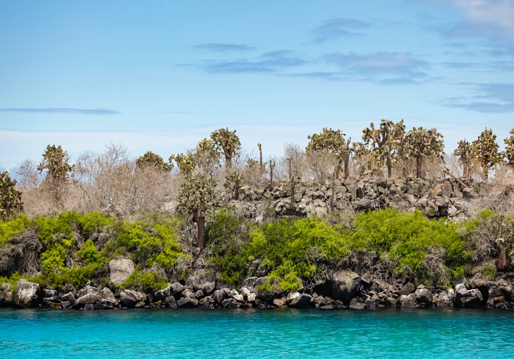 Day 04 – North Seymour Island and Bartolome and Sullivan Bay