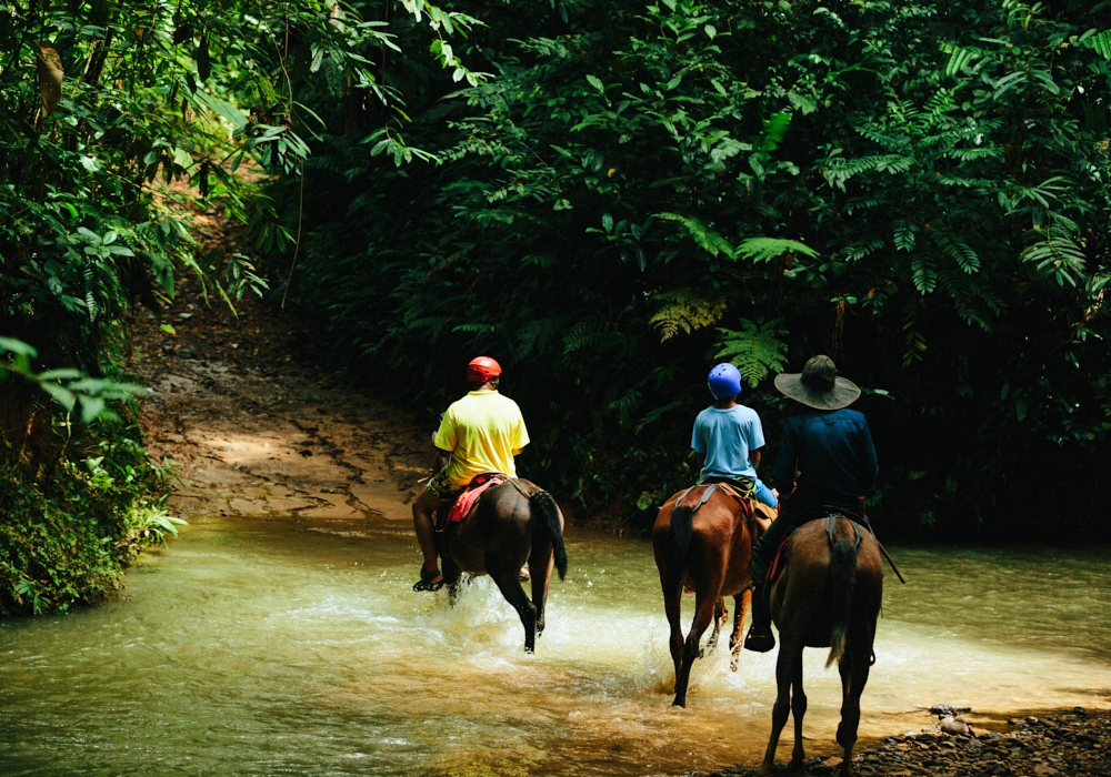 Day 04 - Pacuare - Arenal