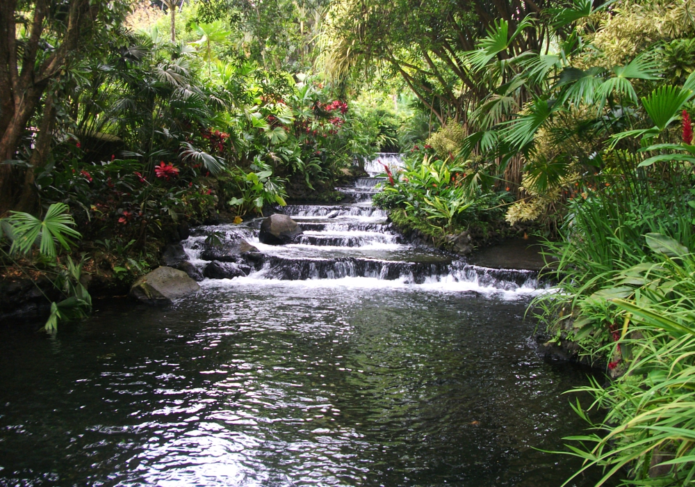 Day 04 - Pacuare - Arenal