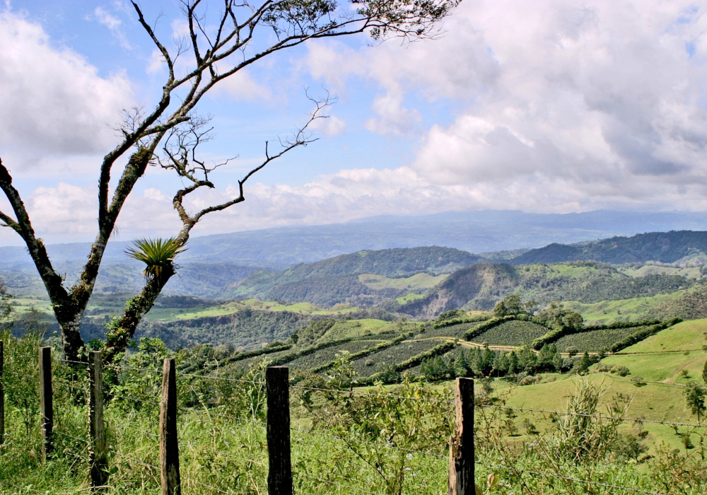 DAY 04 - Panama City - Boquete