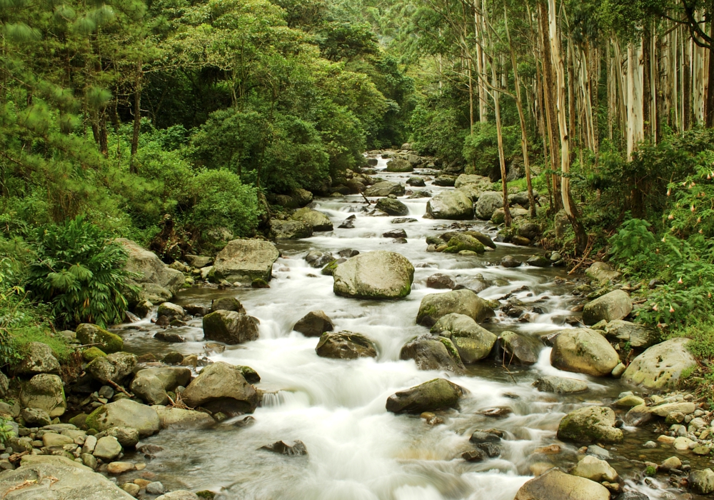 DAY 04 - Panama City - Boquete