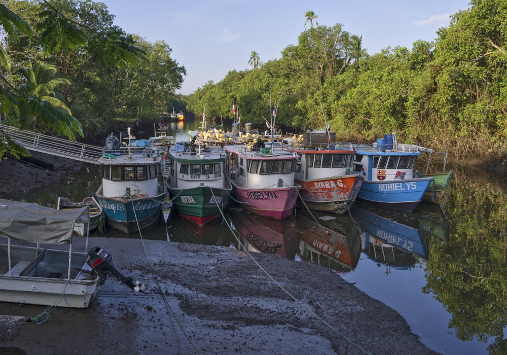 DAY 04 – Panama City – Chiriqui Gulf