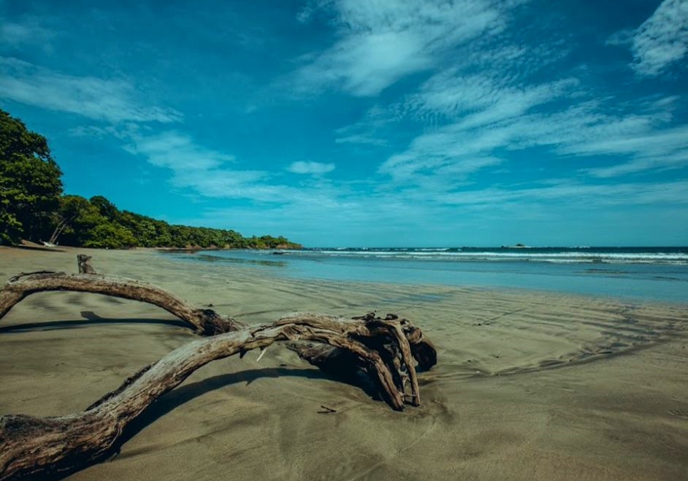 Day 04 - Rincon de la Vieja - North Pacific Coast