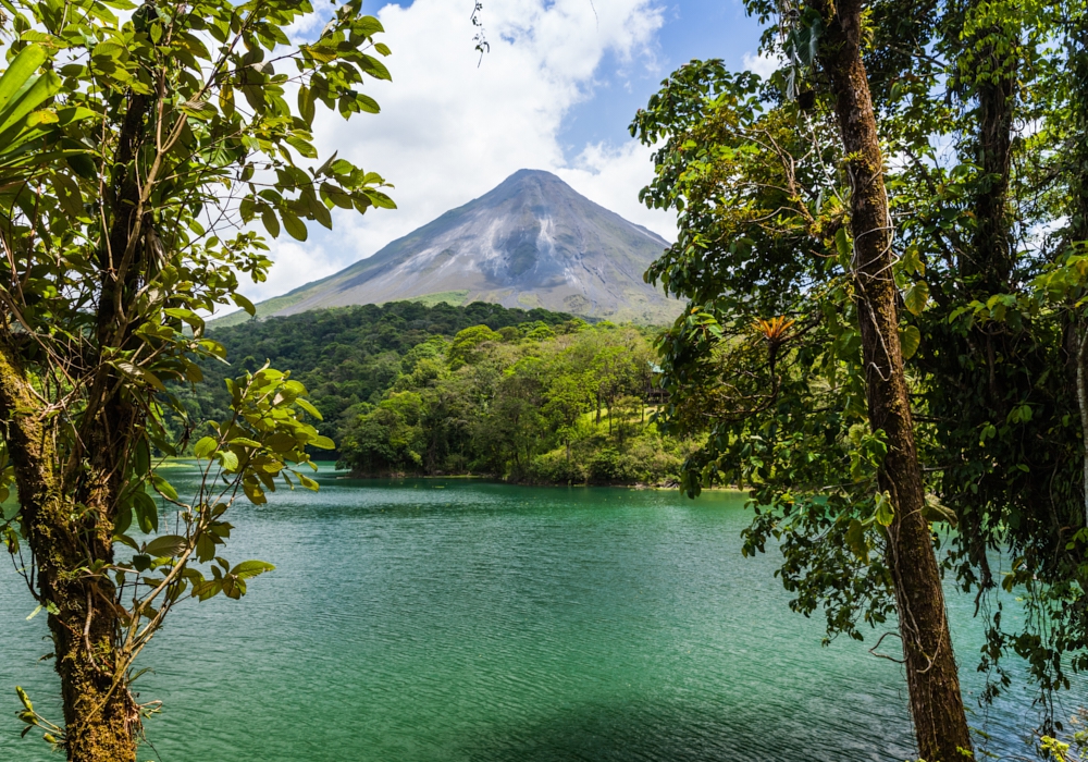 Day 04 - Tortuguero - Arenal