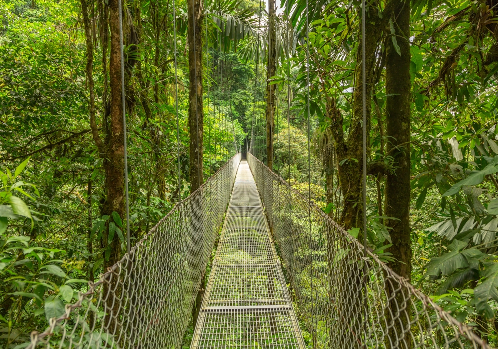 Day 04 - Tortuguero – Arenal