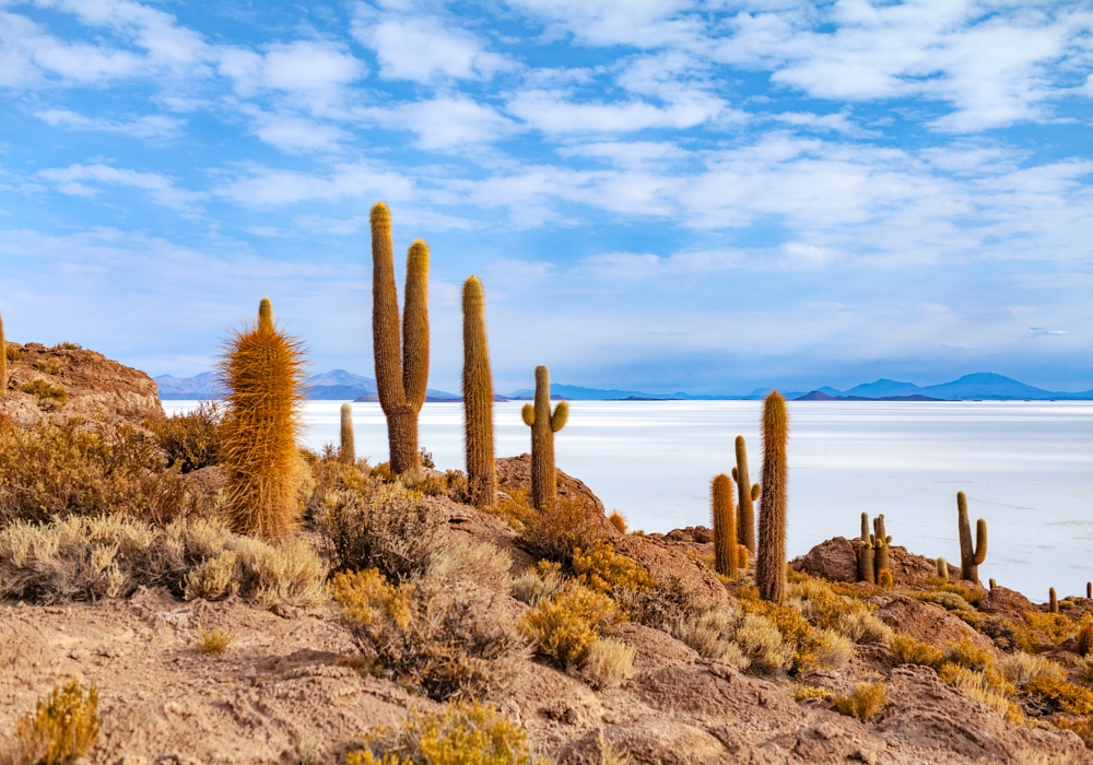 Day 04 - Uyuni