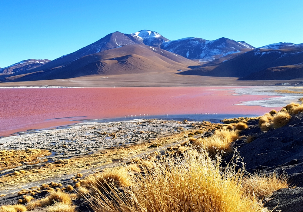 DAY 04 - UYUNI – AVAROA NATIONAL RESERVE