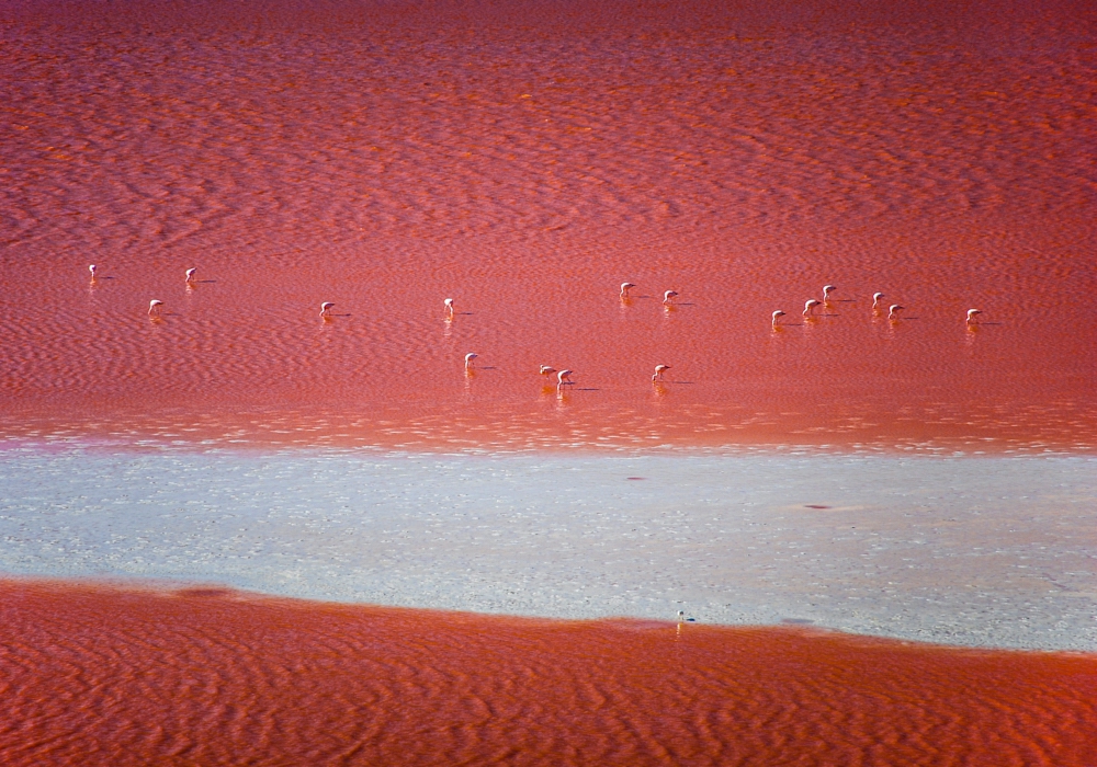 DAY 04 - UYUNI – AVAROA NATIONAL RESERVE