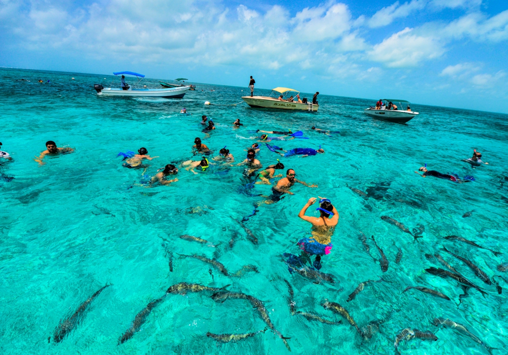 Day 05 -  Ambergris Caye - Hol Chan Tour