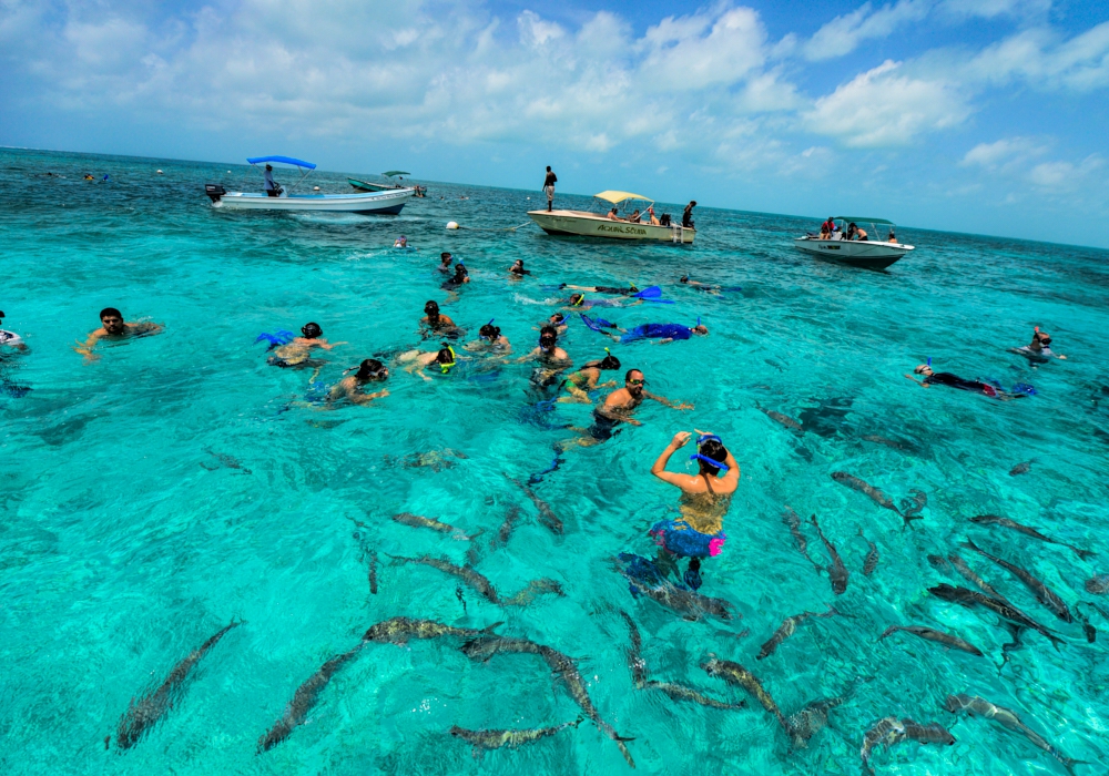 Day 05 -  Ambergris Caye -  Hol Chan Tour