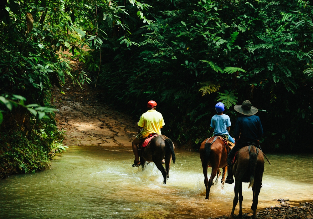 Day 05 - Arenal