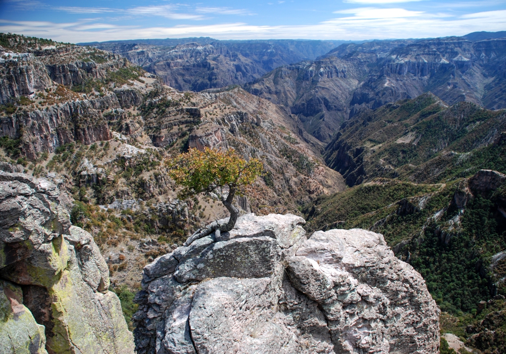 Day 05 -  Batopilas Canyon