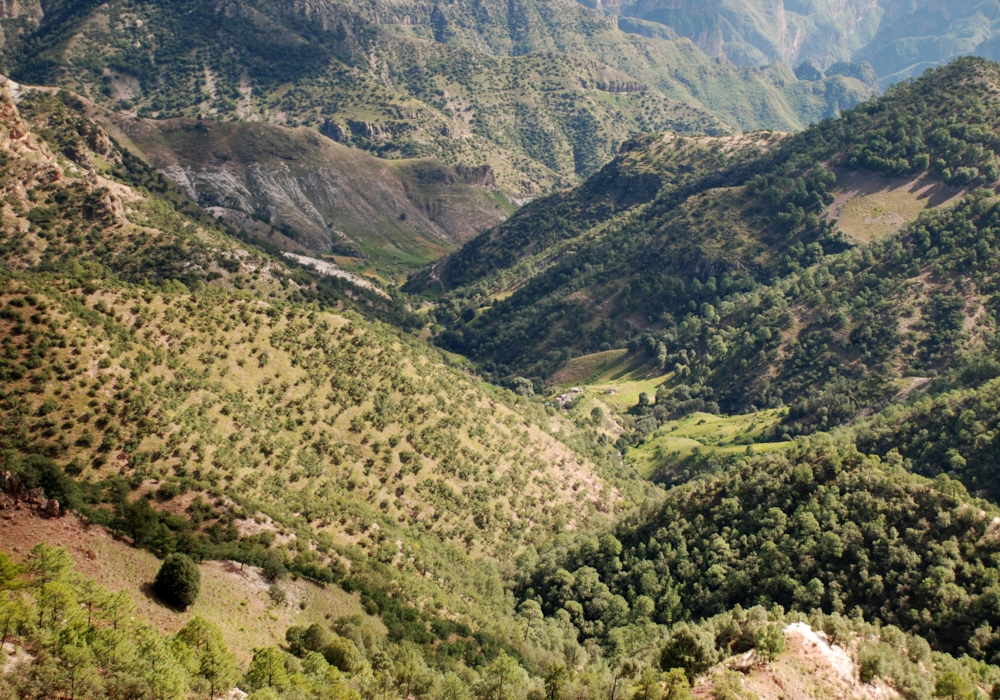 Day 05 -  Batopilas Canyon