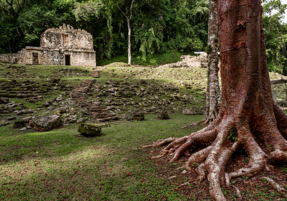 Day 05 - Bonampak - Yaxchilan - Palenque