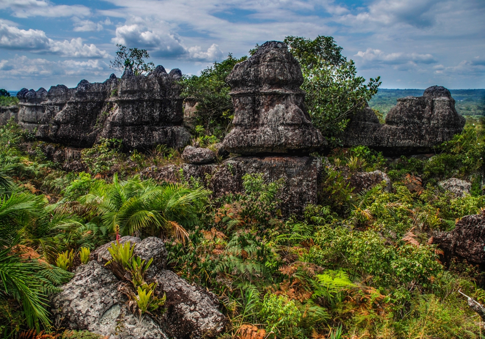 DAY 05 - Caño Piedra