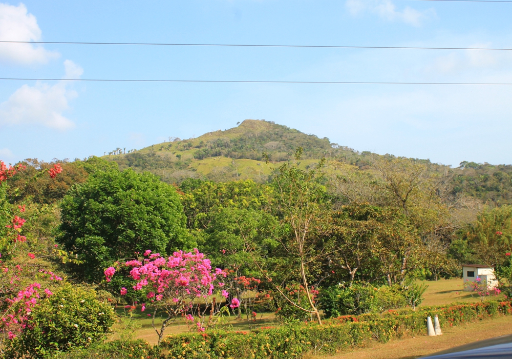 DAY 05 - Chitre -  Panama City