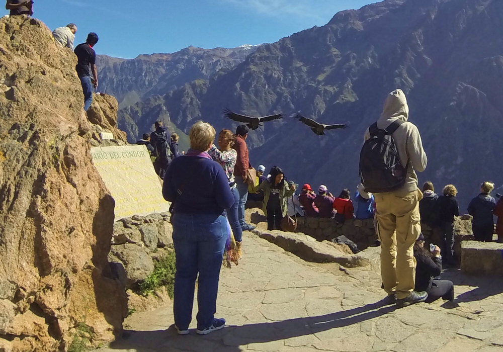 Day 05 - Colca to Puno   Time to visit the home of the condor!