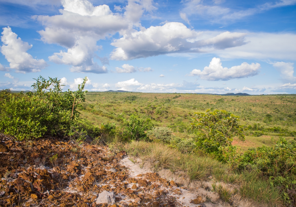 Day 05 - Cristalino Lodge - Brasilia