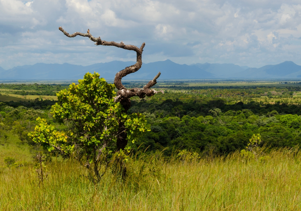 Day 05 - Cristalino Lodge - Brasilia