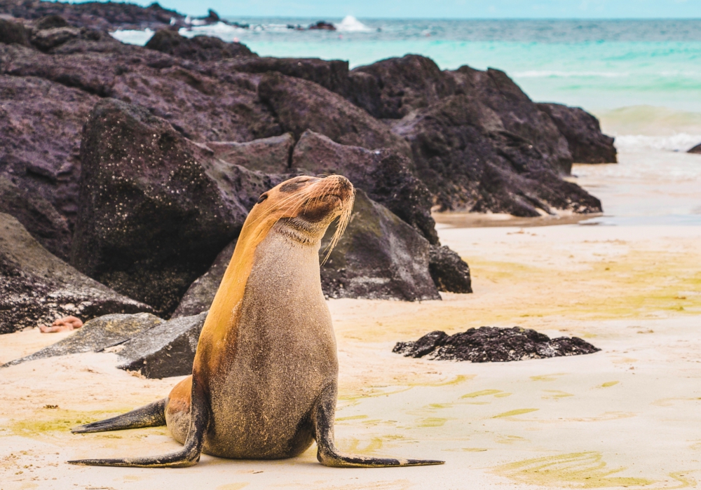 Day 05 - Cuicocha - Galapagos