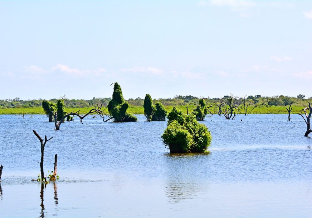 DAY 05 - FORMOSA- ITUZAINGO (PUERTO VALLE)