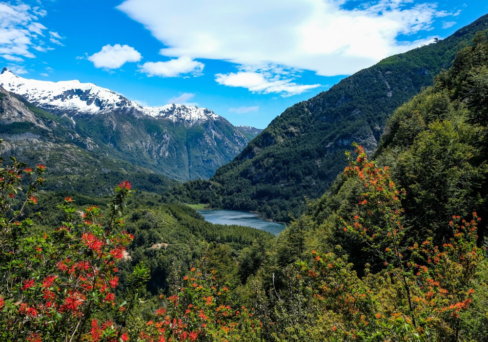 Day 05 - Futaleufu - Puyuhuapi