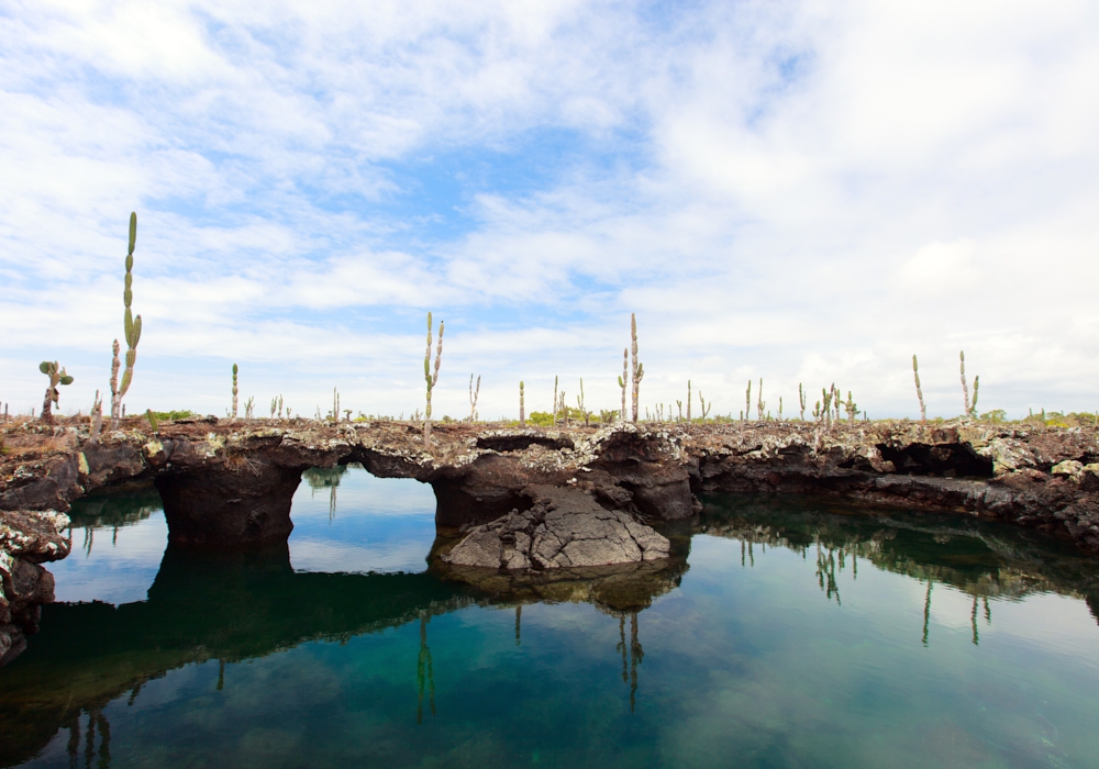 Day 05 - Galapagos