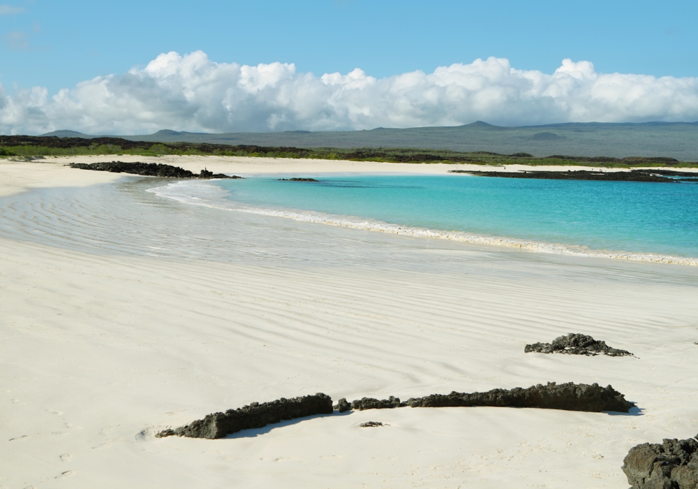 Day 05 - Galapagos