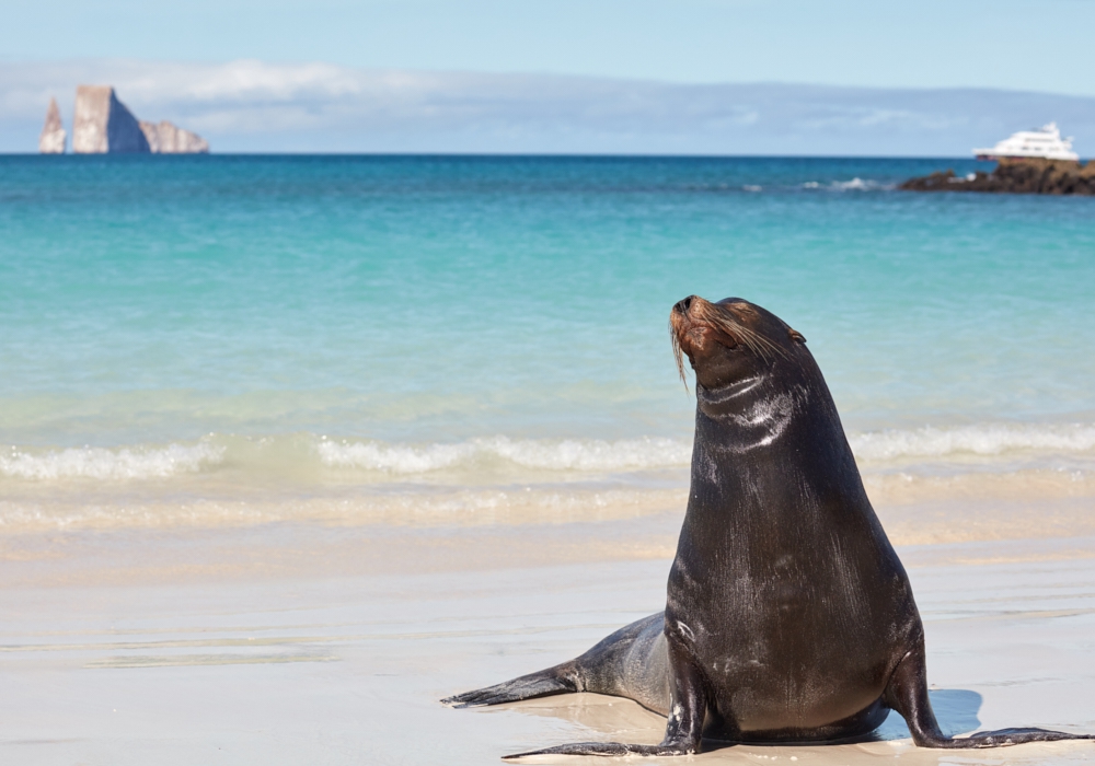 Day 05 - Galapagos Islands