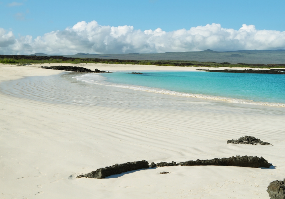 Day 05 - Galapagos Islands