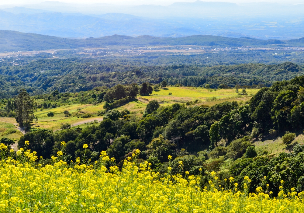 DAY 05 – Gamboa – Boquete