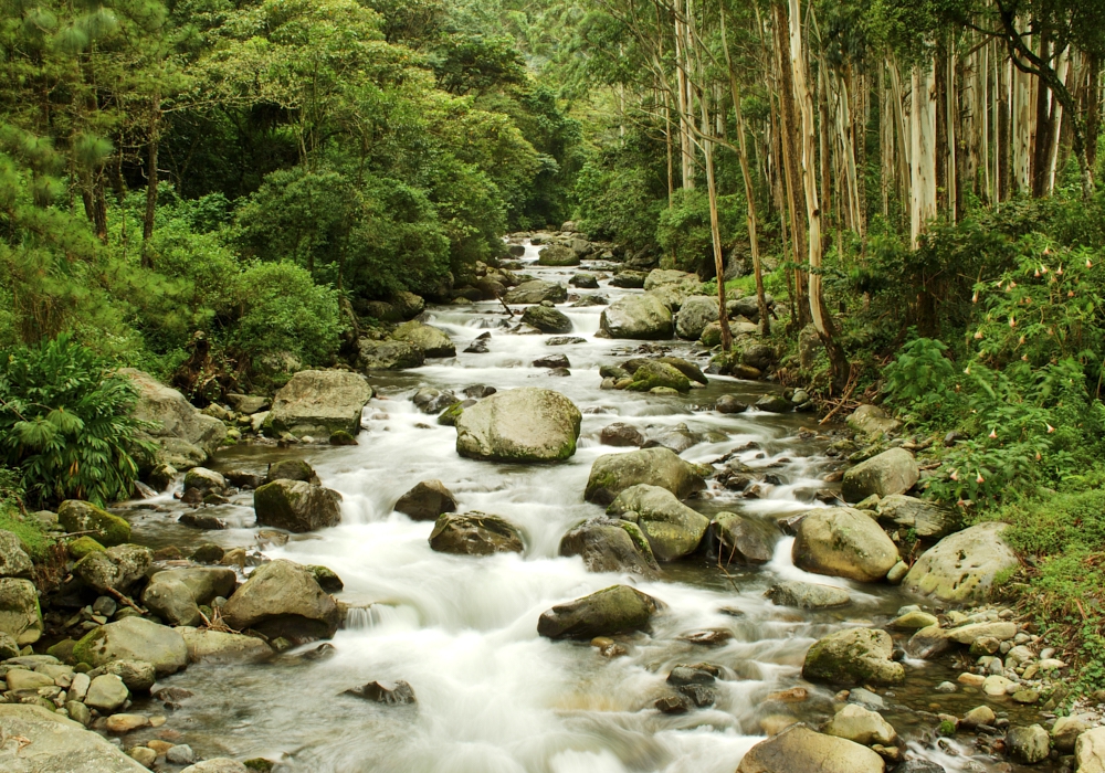 DAY 05 – Gamboa – Boquete